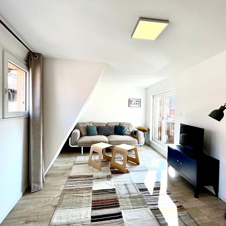 Sous Les Toits Avec Garage Et Terrasse A Ribeauville Exterior foto